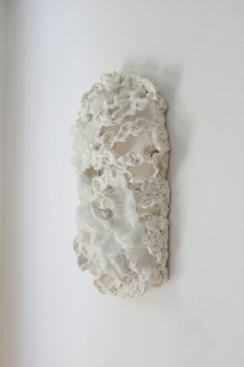 Analia Moraes_Costela n.11_2024_Escultura em ceramica e vidro