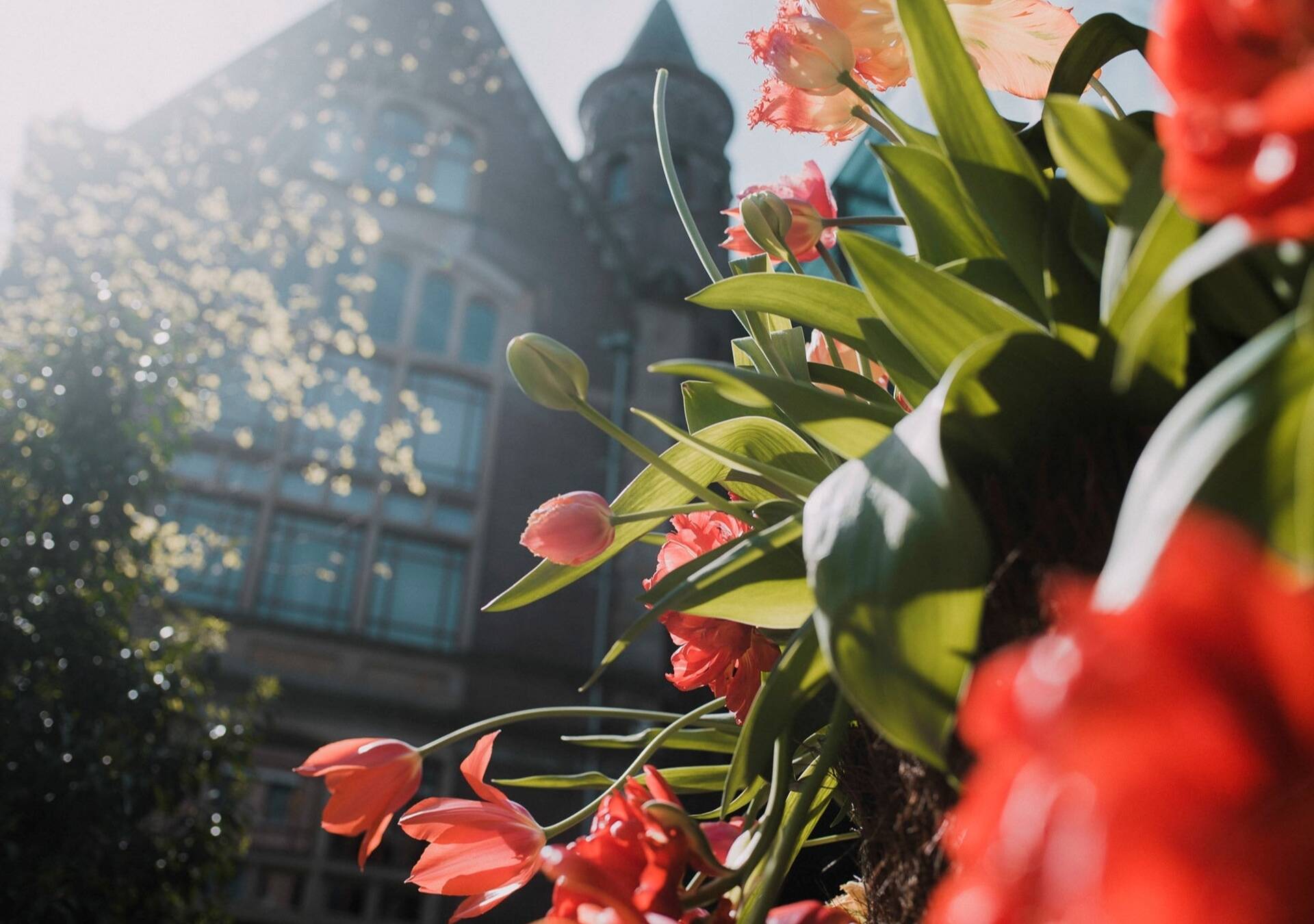 Luxo, flores e exclusividade: Conservatorium Hotel celebra a primavera com experiência sensorial única em Amsterdã
