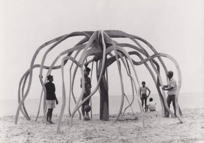 Frans Krajcberg, A flor do mangue, circa 1970. IPAC - Foto Divulgação