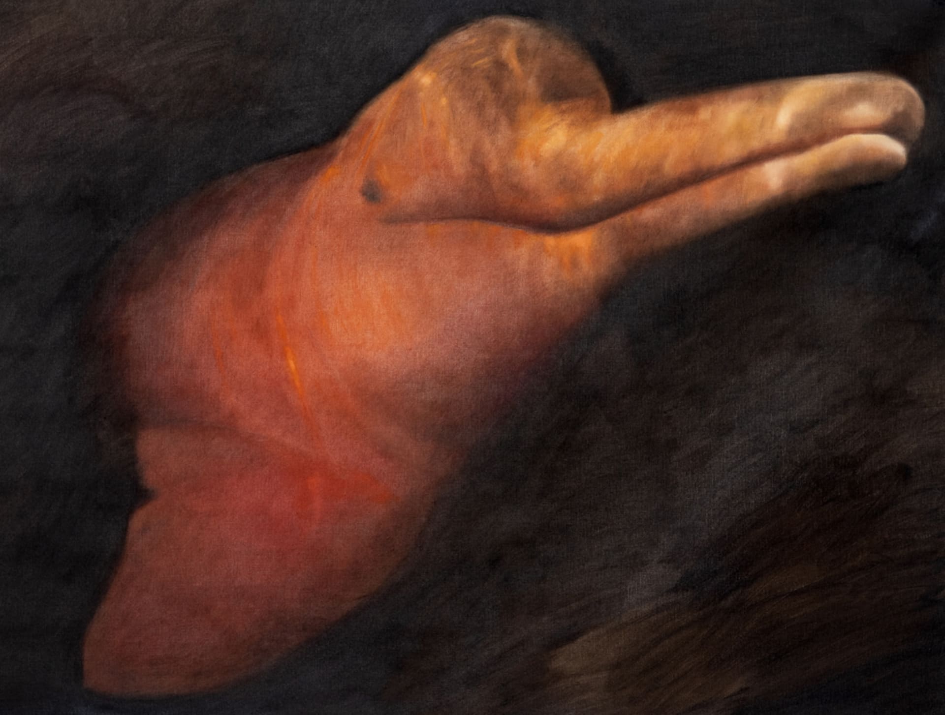 Gabriel Giucci, Boto,2025, oleo sobre linho, 105x139cm - Foto Divulgação