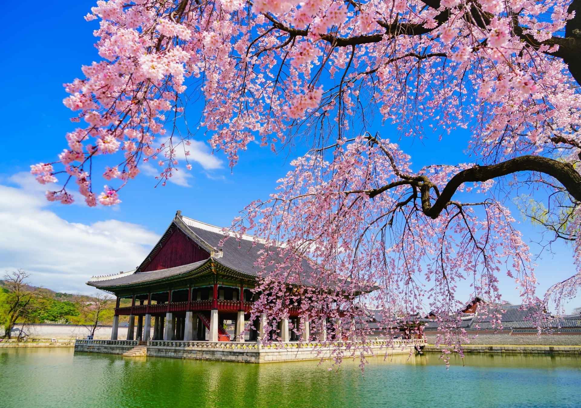 Seul, Coreia do Sul - Foto Divulgação